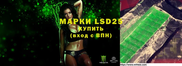 ECSTASY Ладушкин
