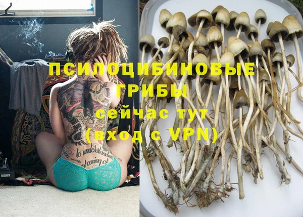 ECSTASY Абдулино