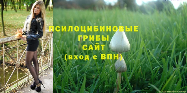 молекула духа Абаза