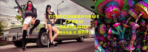 твердый Сатка