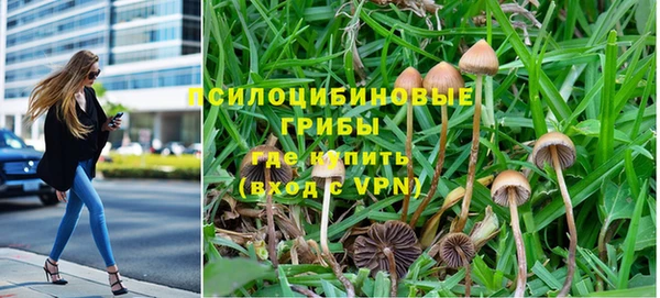 спиды Сафоново