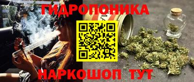 альфа пвп Бийск