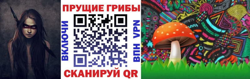Псилоцибиновые грибы Psilocybe  купить наркоту  darknet телеграм  Кизляр 